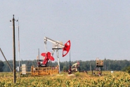 Belarus’ proven oil reserves close to 50m tonnes