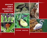 Красная книга Беларуси пополнится 14 новыми видами животных и 10 видами растений