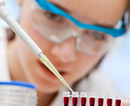 India to grant scholarships to young Belarusian scientists