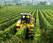 Belarus-Israel agro-industrial park to attract up to $2.5bn in investment<br />