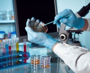 Belarus to expand use of biologically active natural compounds in pharmaceutics