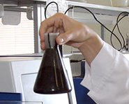 Belarusian scientists curious about Siberian advanced oil processing practices