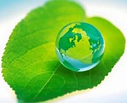 Belarus’ resolution on ‘green economy’ unanimously upheld by OSCE PA<br />