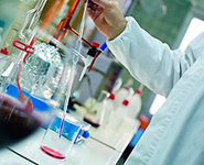 Belarus, Pakistan to set up joint fund to finance scientific research