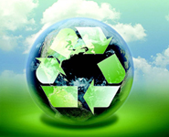 Belarus’ progress in building green economy hailed